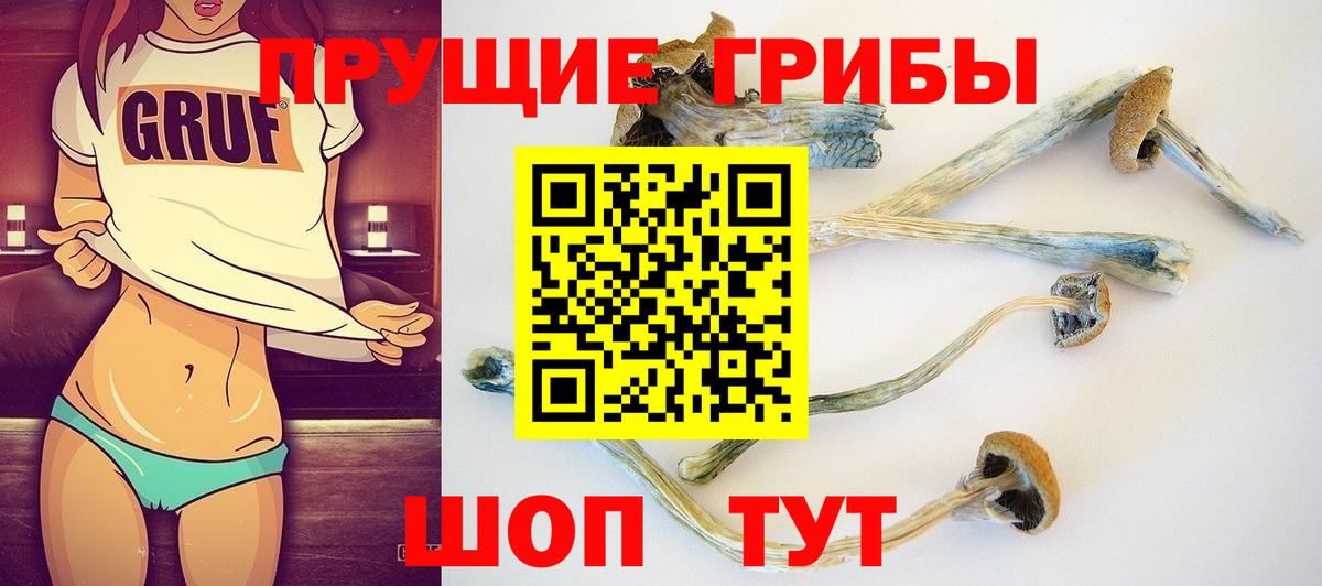 Псилоцибиновые грибы Magic Shrooms  Вход с VPN  Белогорск 