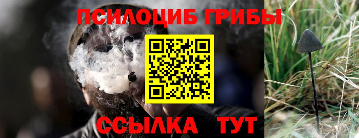 Галлюциногенные грибы Cubensis Белогорск